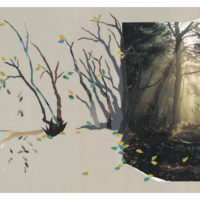 CABANE AUX ETOILES (LA) (KAMISHIBAÏ)