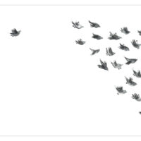 PETIT RUSSE (KAMISHIBAÏ)