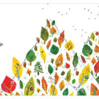 PETIT RUSSE (KAMISHIBAÏ)