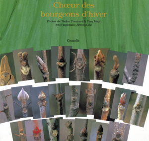 CHOEUR DES BOURGEONS D’HIVER