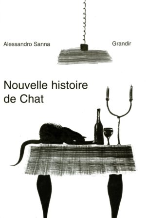 NOUVELLE HISTOIRE DE CHAT