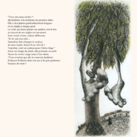 JARDIN DES SIMPLES (LE)