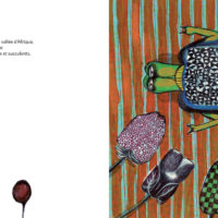 SONGE DE LA TORTUE (LE)