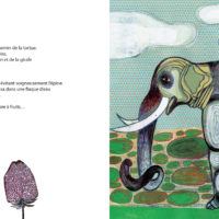 SONGE DE LA TORTUE (LE)