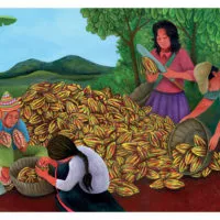 LUNA ET PEDRO, la récolte du cacao (KAMISHIBAÏ)