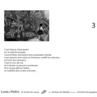 LUNA ET PEDRO, la récolte du cacao (KAMISHIBAÏ)