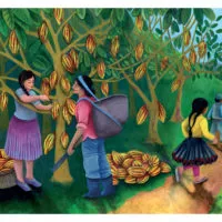 LUNA ET PEDRO, la récolte du cacao (KAMISHIBAÏ)