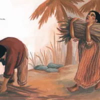 NINA ET JAY, la culture de la canne à sucre